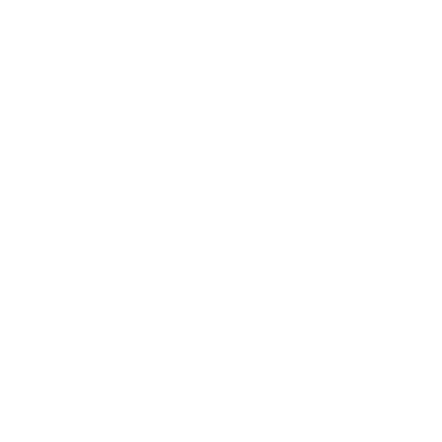 Logo Union Bordeaux Bègles